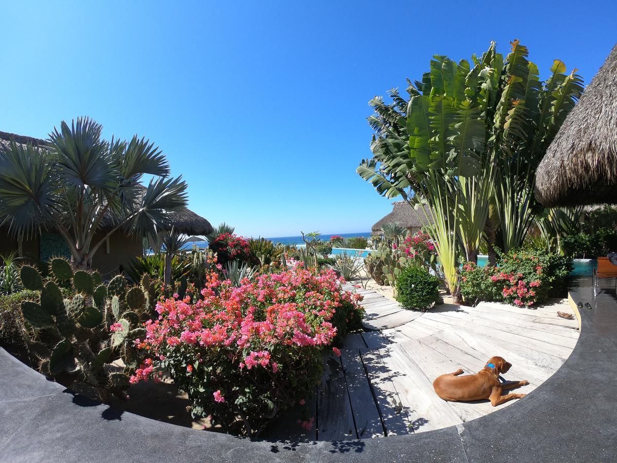Samora Luxury Resort Santa Maria Colotepec Luaran gambar
