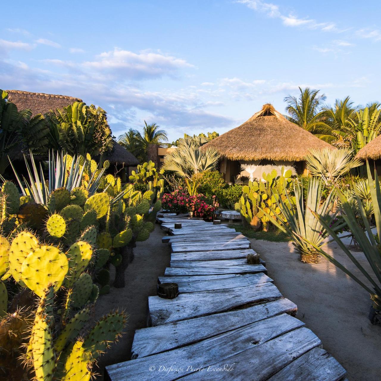 Samora Luxury Resort Santa Maria Colotepec Luaran gambar